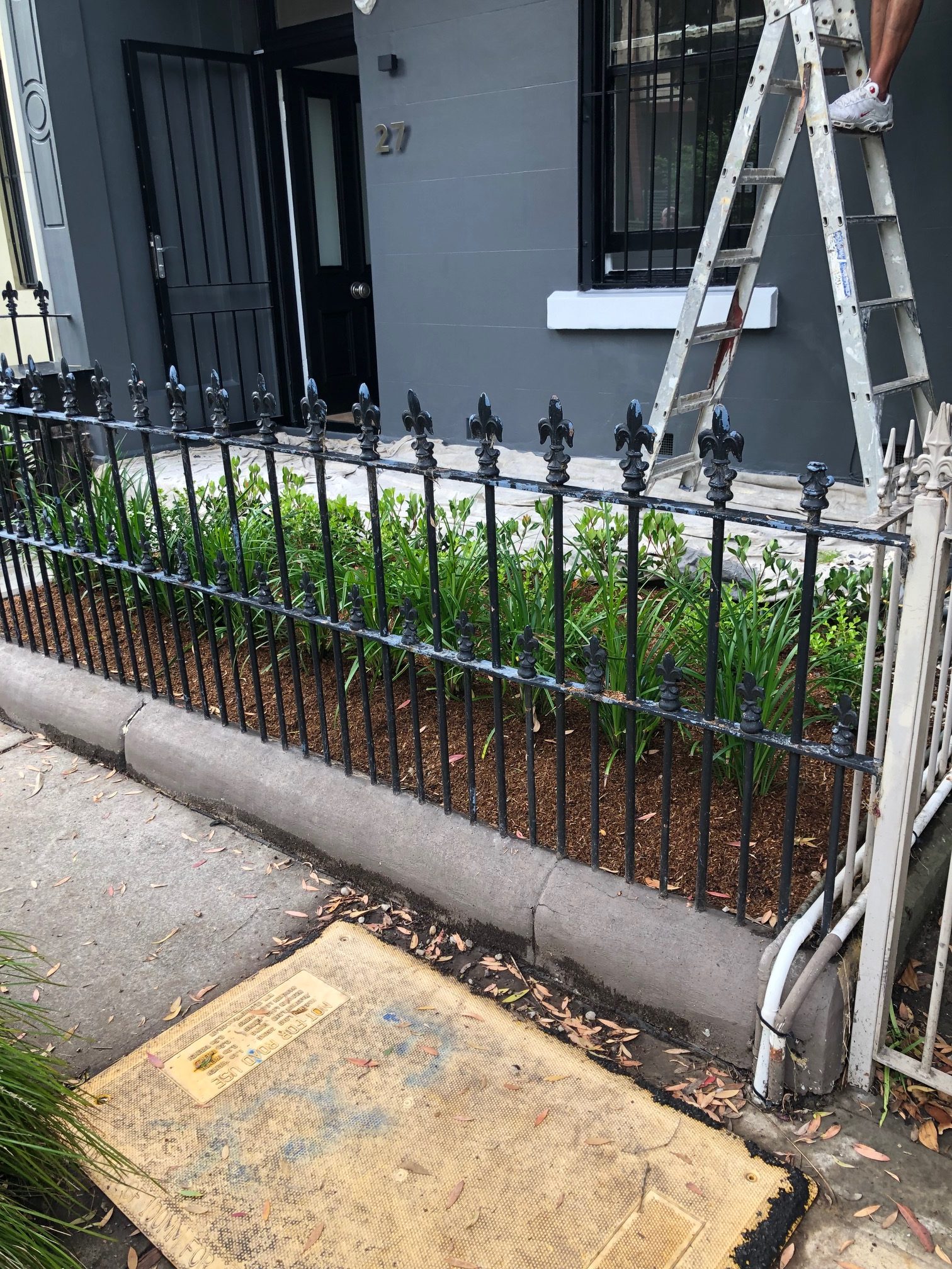 Exterior Fence View - Paddington Painting & Decorating